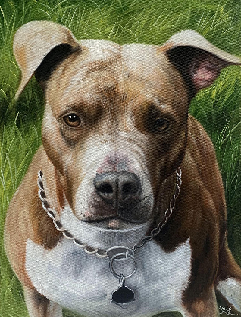 Painting of a brown and white pit bull wearing a chain collar with a tag.