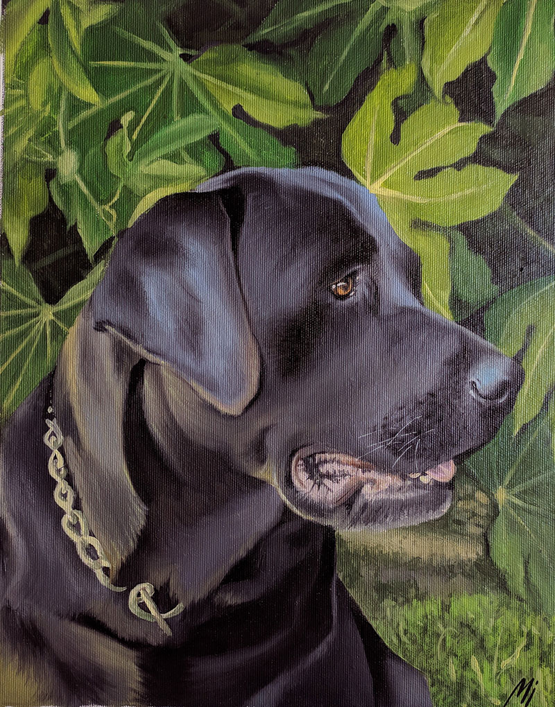 Painting of a black Labrador wearing a gold collar, surrounded by green leaves.