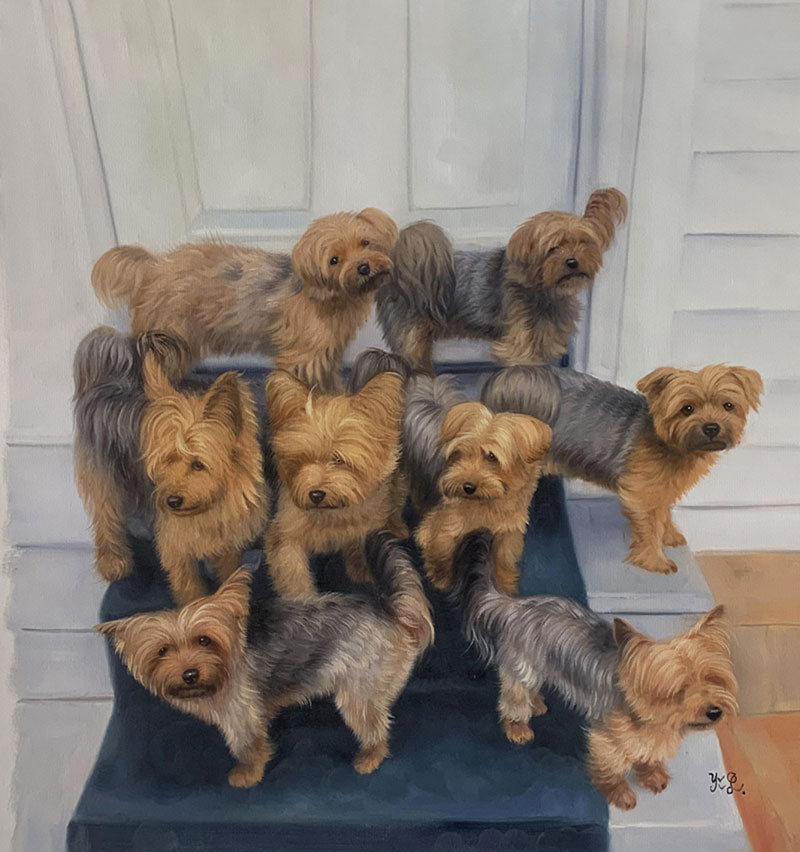 Painting of eight Yorkshire Terriers on steps by a door.