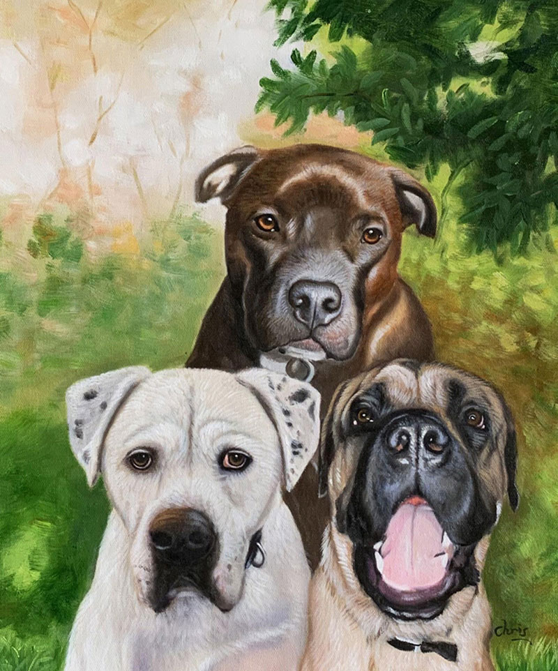 Painting of three dogs: a brown Staffordshire Bull Terrier, a white and black American Bulldog, and a tan Mastiff.