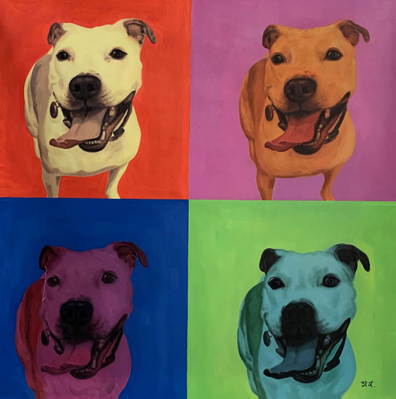 Pop art painting of a dog in four color quadrants.