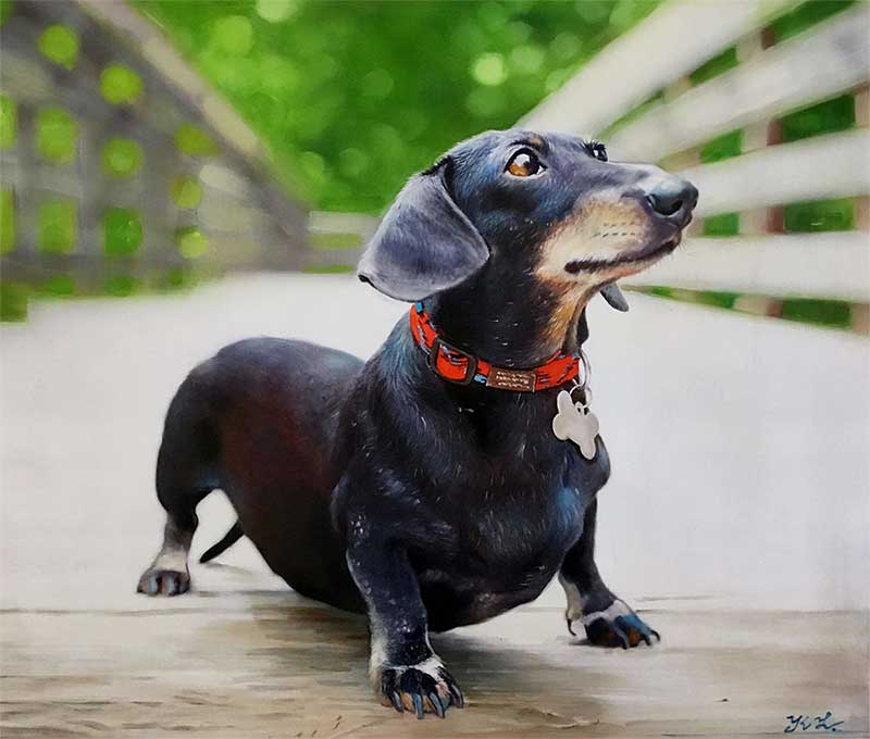 Oil painting of a dutch hound 