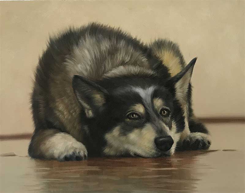 an oil painting of a grey husky laying on the floor