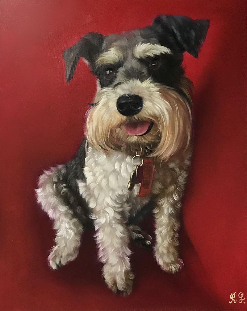 Painting of a miniature schnauzer sitting on a red background.