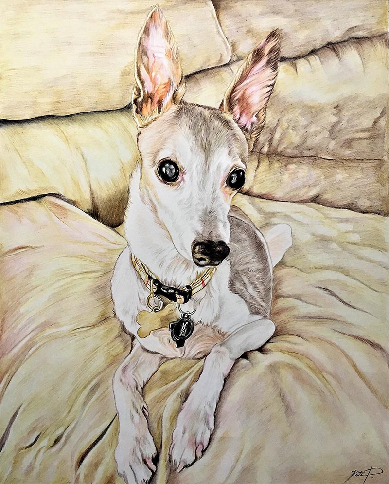 dipinto del cane su tela