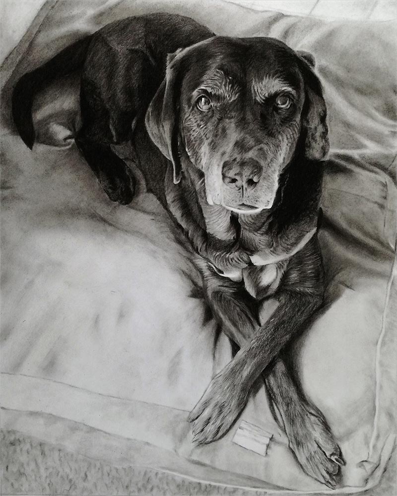 an oil painting of an old dog