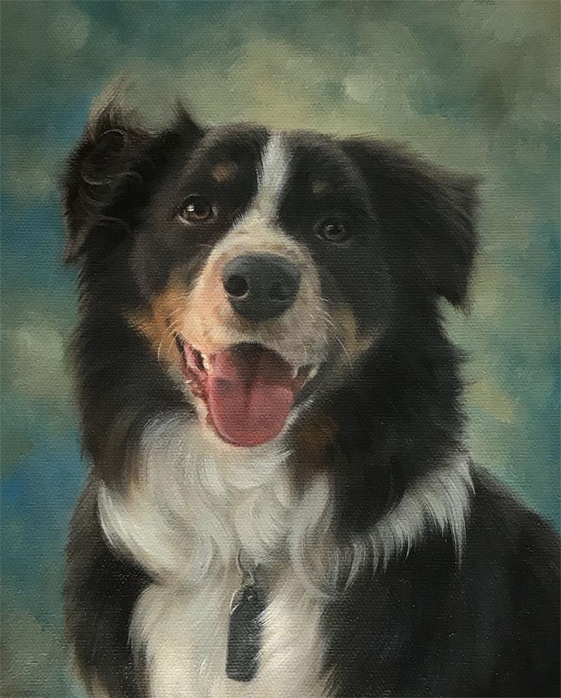 Painting of a happy Border Collie wearing a dog tag.