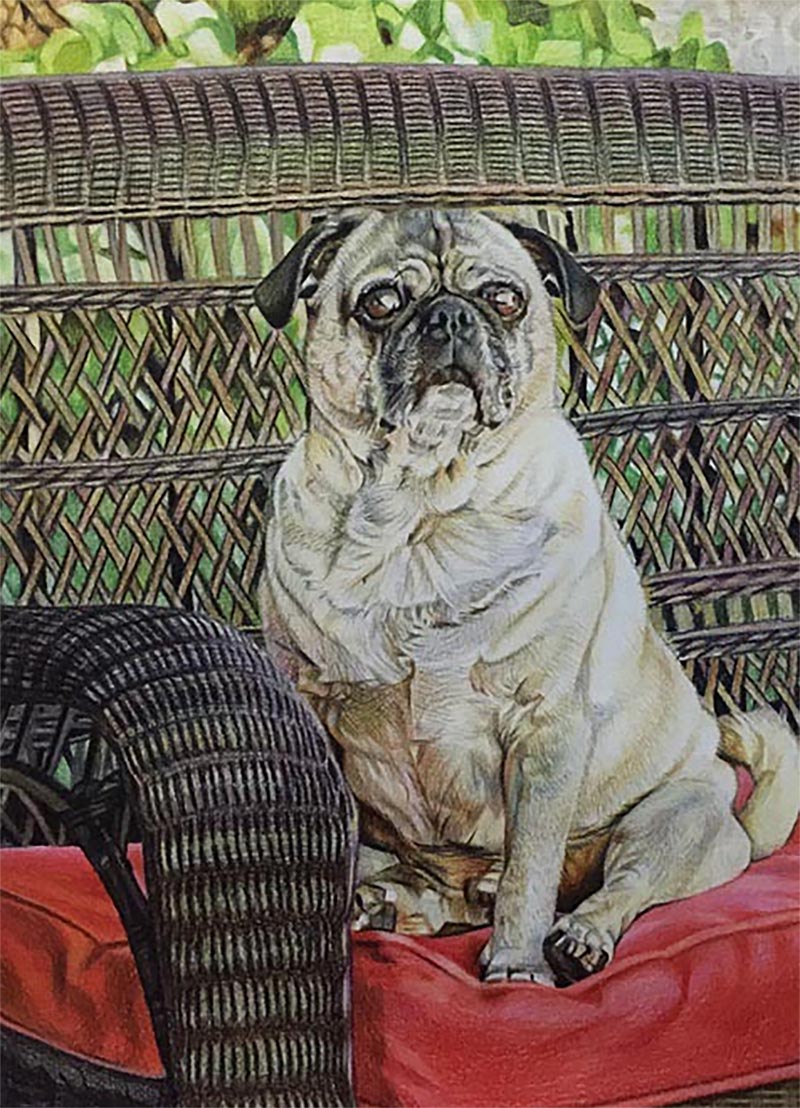 pug canvas painting