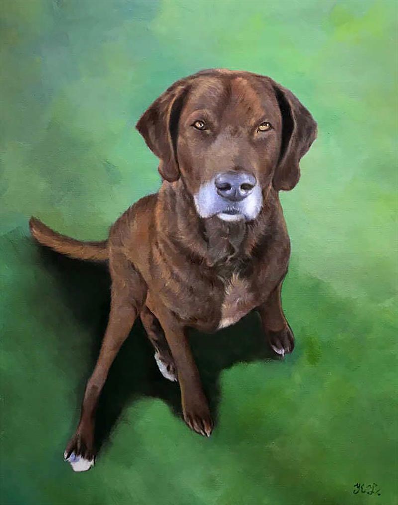 an oil painting of a brown labrador green background turn photo into canvas art