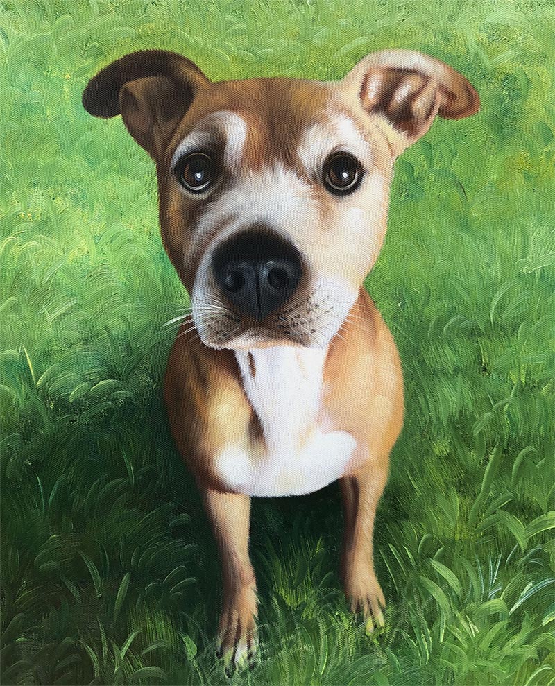 an oil painting of a dog in a grass field photos to canvas art