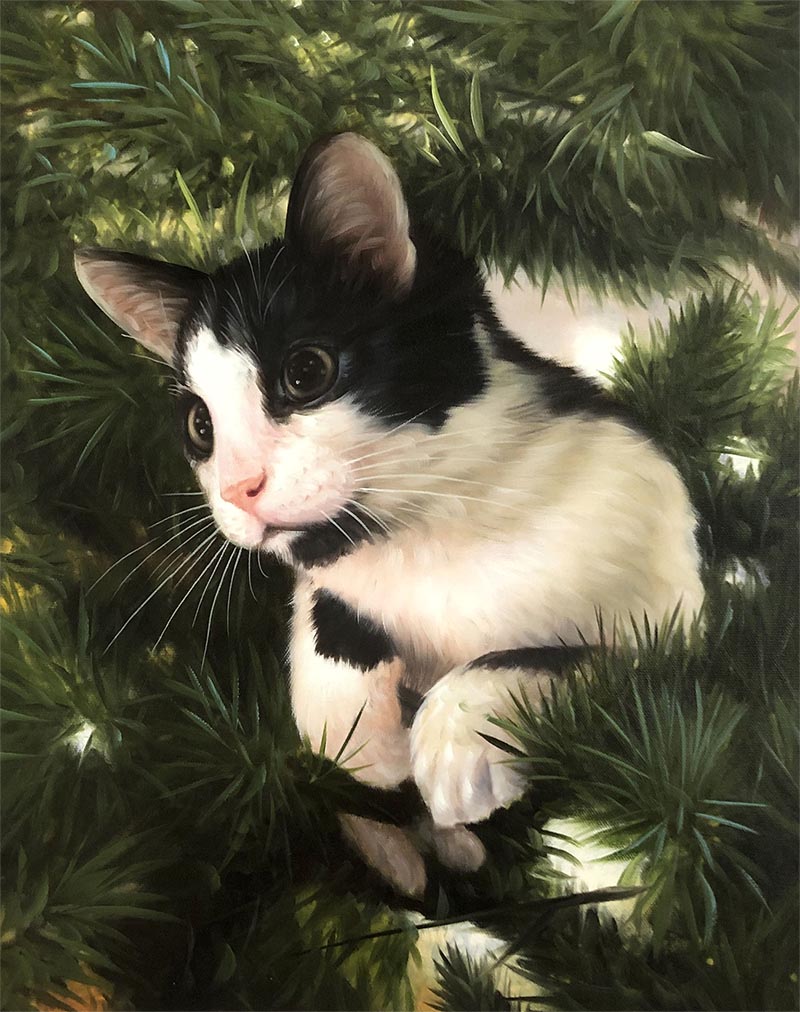 Painting of a black and white kitten in a pine tree