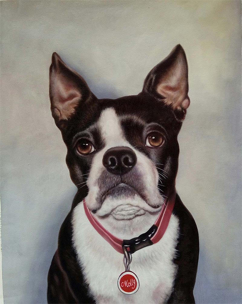 Painting of a Boston Terrier named Molly wearing a pink collar.