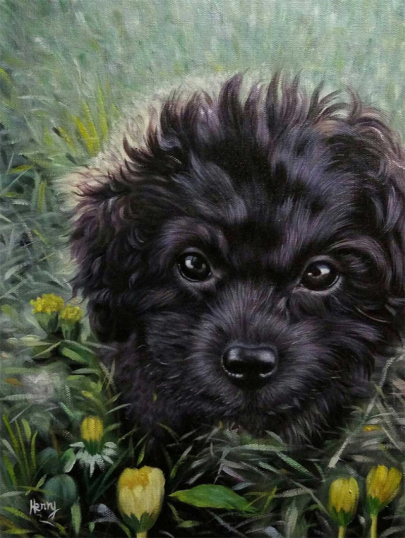 Painting of a black puppy in the grass with yellow flowers.