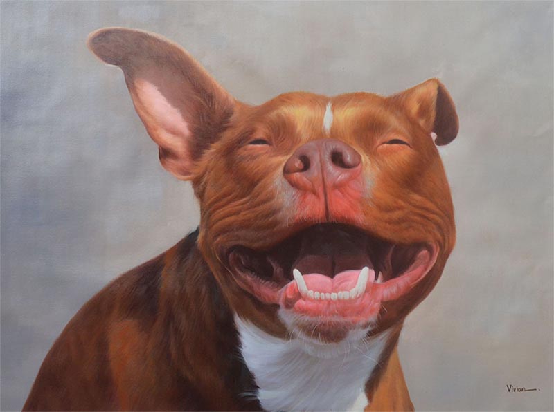 Retratos de perros sobre lienzo