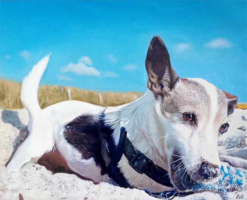  dog portraits on canvas