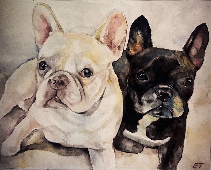 Retratos de perros sobre lienzo