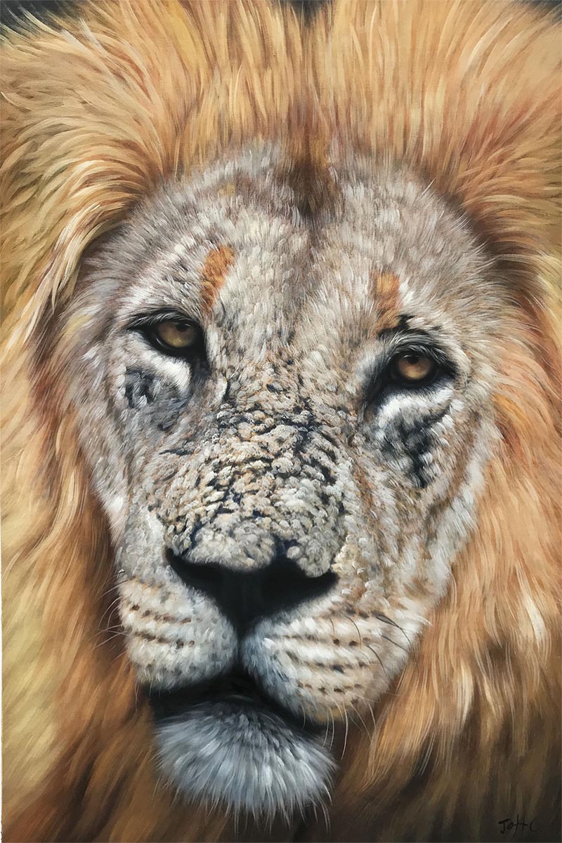 Close-up painting of a lion`s face.