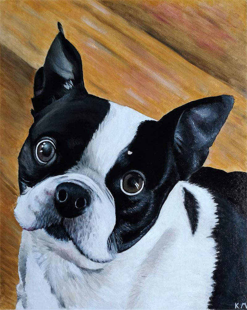 Painting of a Boston Terrier looking up.