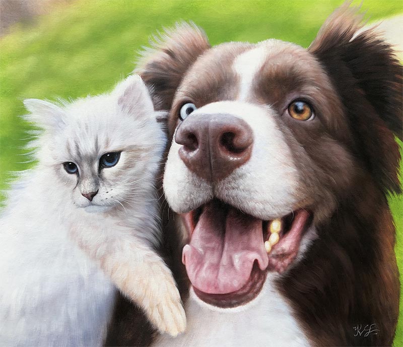 Painting of a fluffy white kitten nestled against a brown and white border collie with one blue eye and one brown eye.
