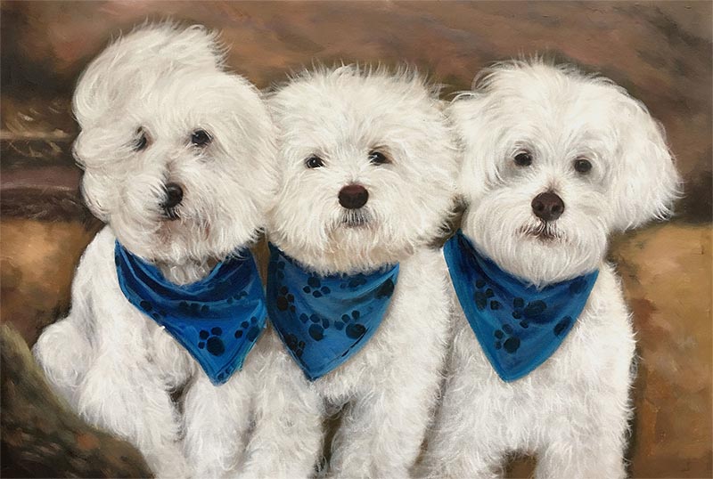 Painting of three white fluffy dogs wearing blue bandanas with paw prints.