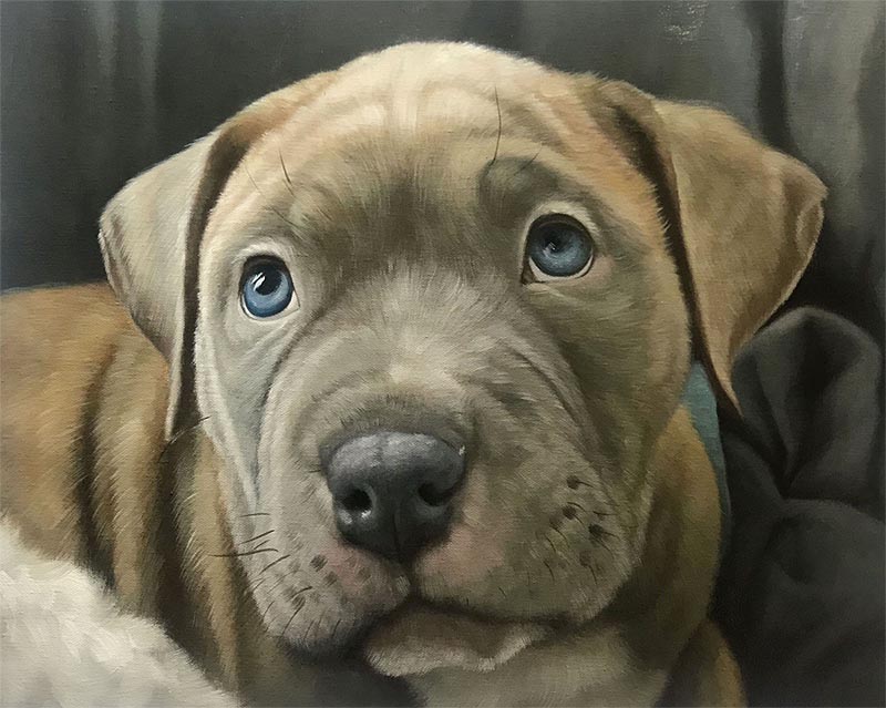 Painting of a tan Pit Bull puppy with blue eyes