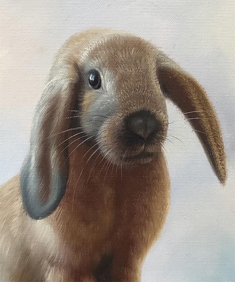 custom acrylic painting of brown rabbit