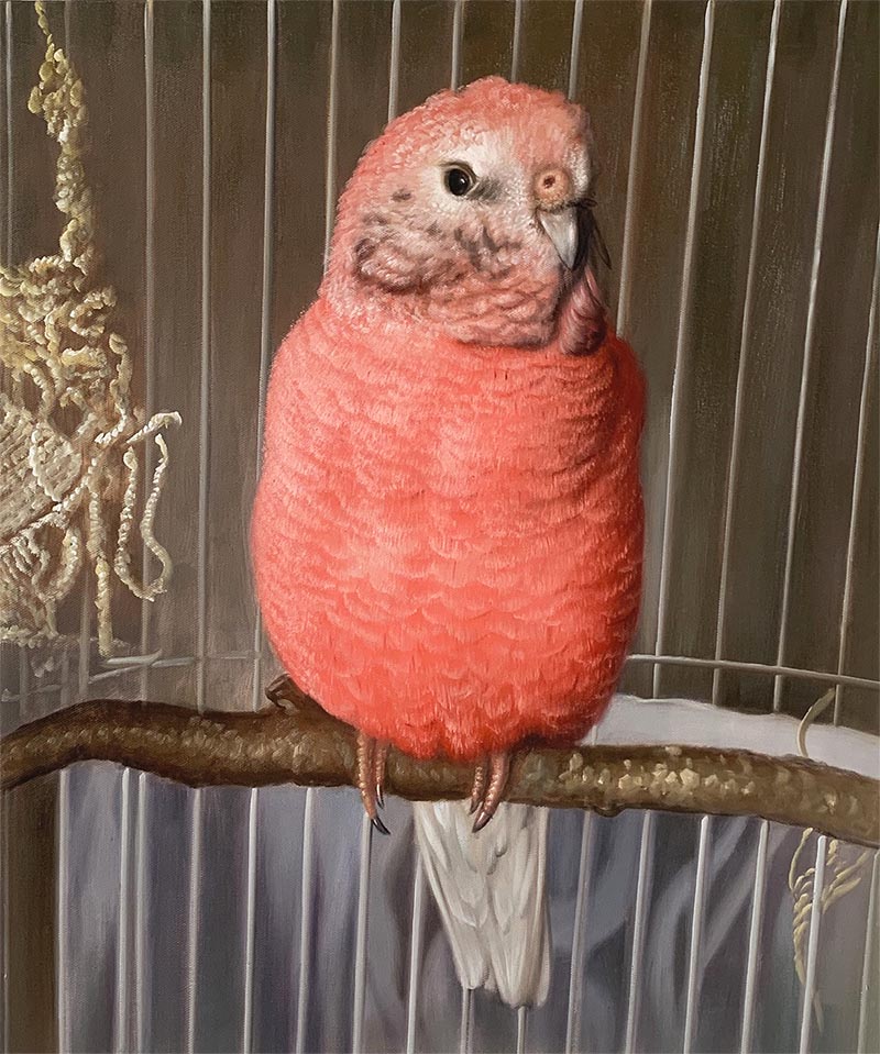 Gorgeous handmade oil painting of a pink parrot