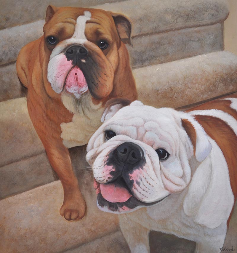 custom oil painting of two white and brown bulldogs