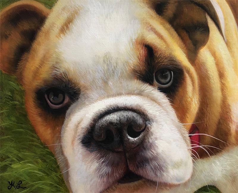 Close-up painting of a bulldog`s face.