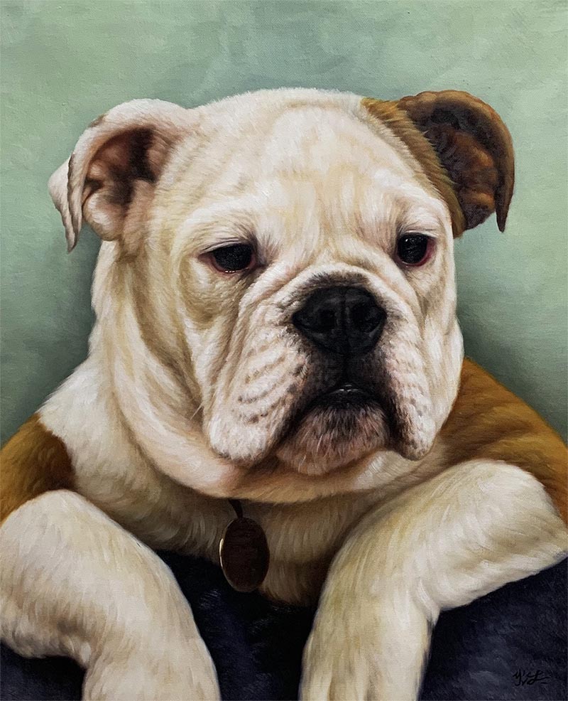 Painting of a bulldog wearing a collar