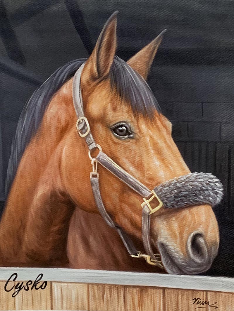 portrait de cheval