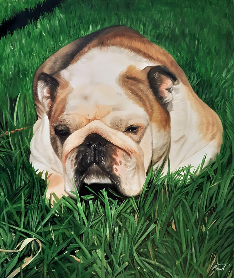 majestic resting dog in the nature painting