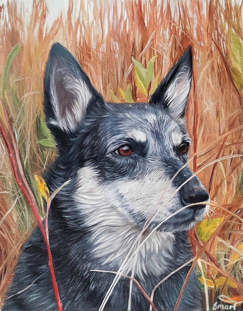 Hund Portrait in Öl