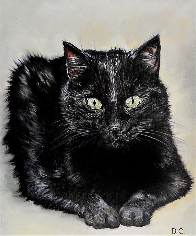 custom oil painting of short haired black cat