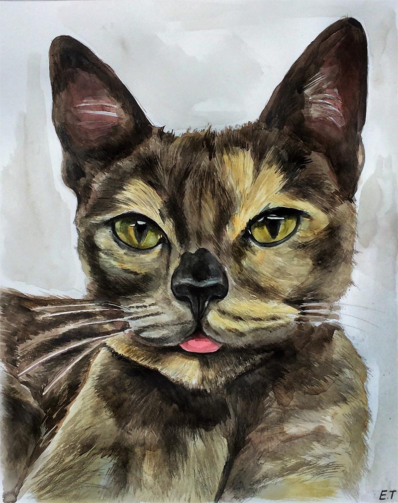 Portraits De Chats A L Aquarelle