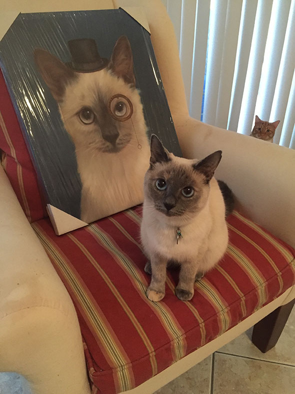 Custom oil handmade portrait of a cat with monocle