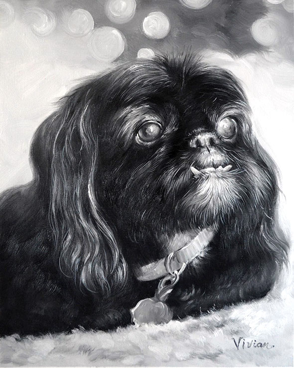 black and white dog portrait