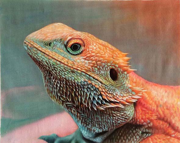 Animaux