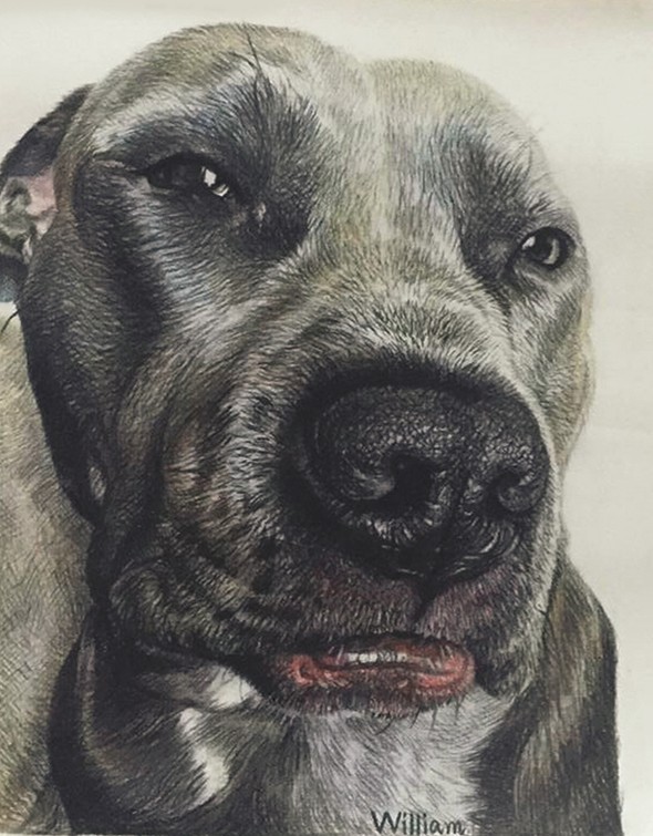 dog canvas painting