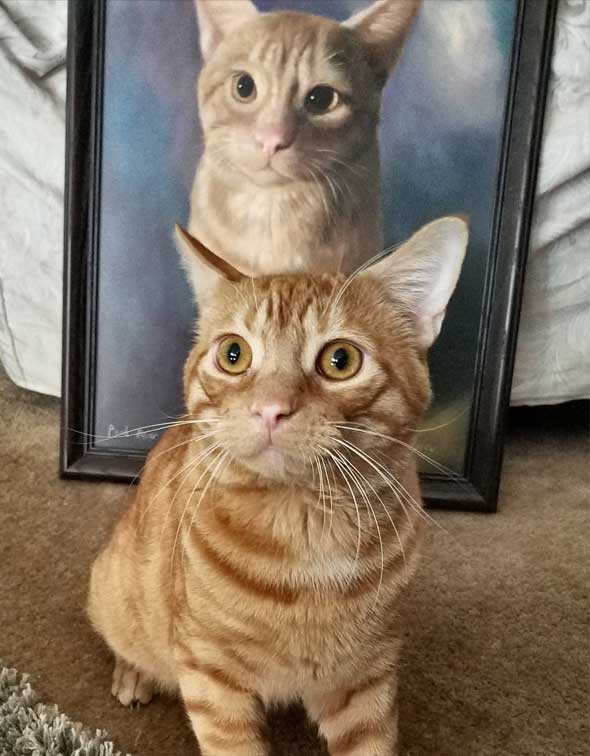 Custom oil portrait of an orange cat