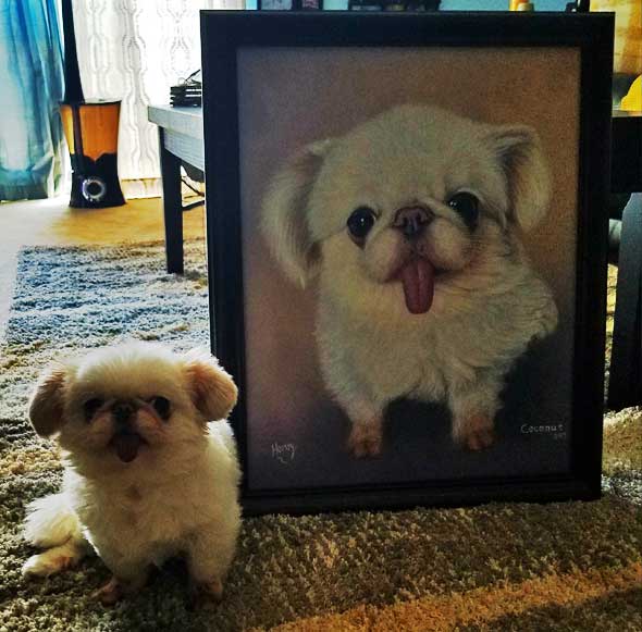 cute white dog custom art