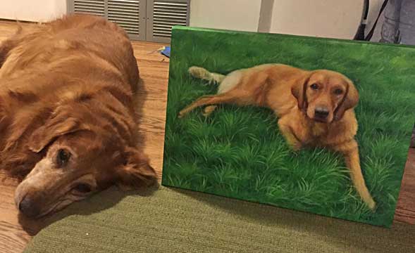 custom acrylic painting of Golden Retriever