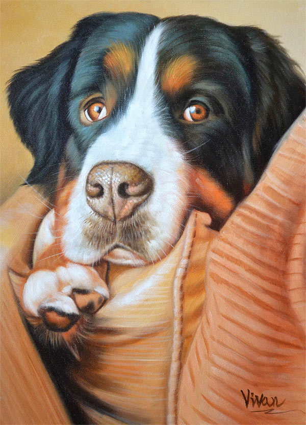 custom acrylic painting of man's best friend, St. Bernard.
