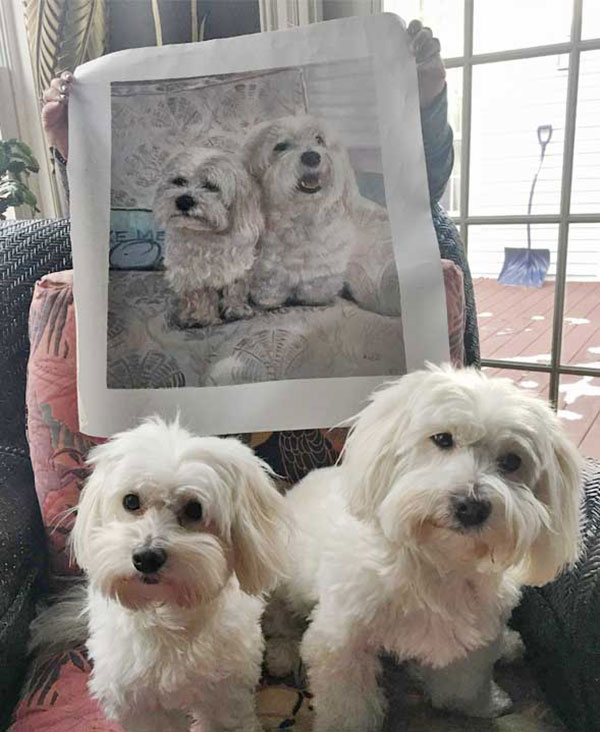 paint your pet custom art