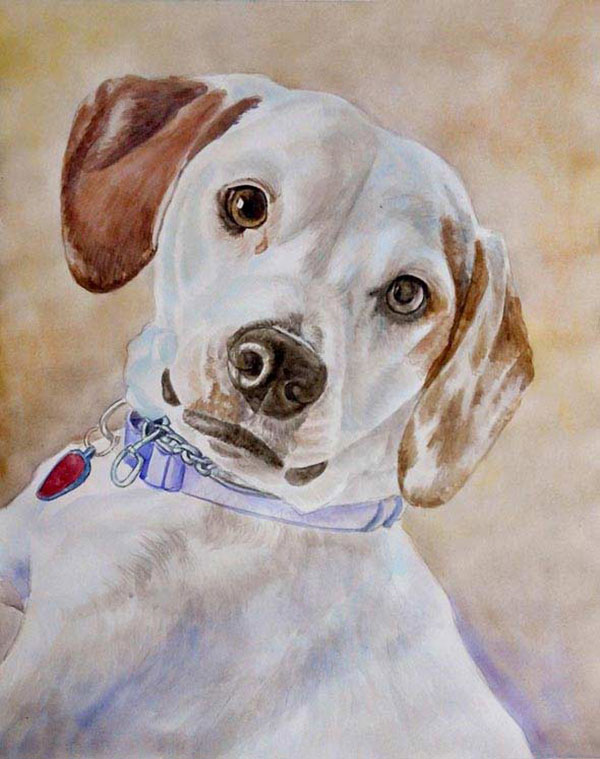 dog portraits on canvas in watercolor