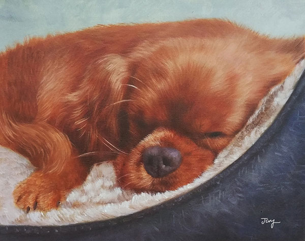 sleeping beauty dog oil art