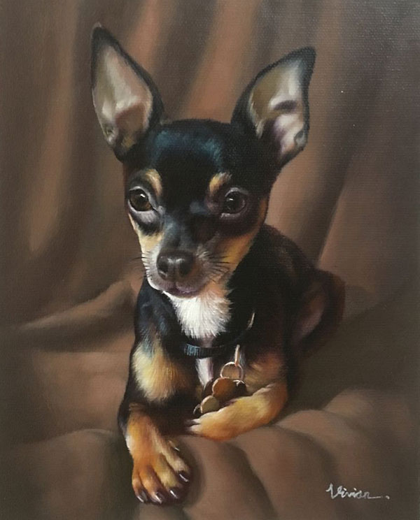lovely pet dog portrait