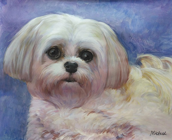 custom watercolor painting of white Maltese