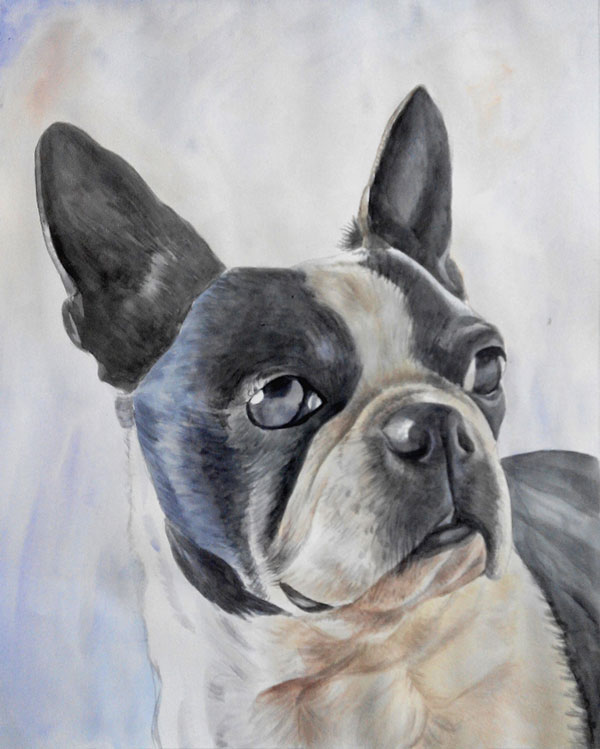 custom dog portrait in watercolor