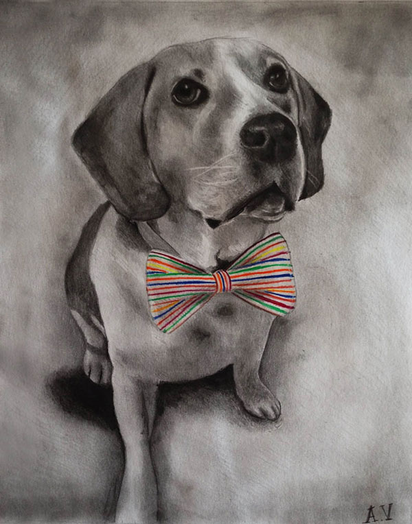 custom colored pencil of dog with a bow tie
